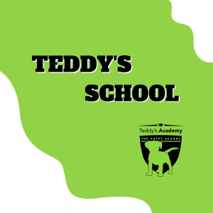 Teddy's Academy - The Puppy School