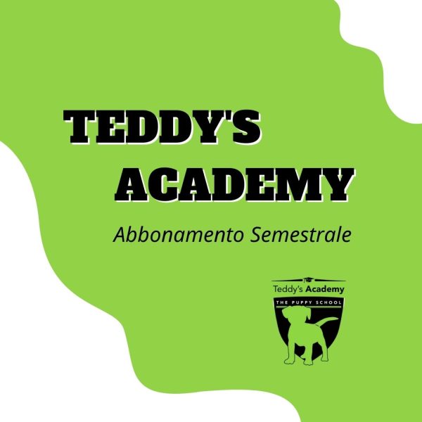 Teddy's Academy - The Puppy School