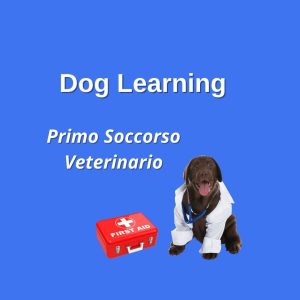 DOG LEARNING